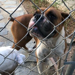 Meet your Posher, Whitney